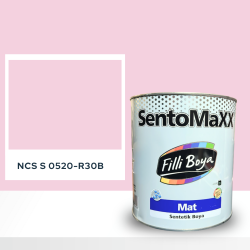 Filli Boya Sentomaxx Boya NCS S 0520-R30B