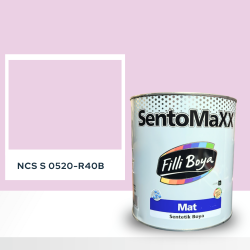 Filli Boya Sentomaxx Boya NCS S 0520-R40B