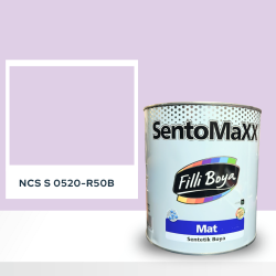 Filli Boya Sentomaxx Boya NCS S 0520-R50B