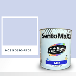 Filli Boya Sentomaxx Boya NCS S 0520-R70B