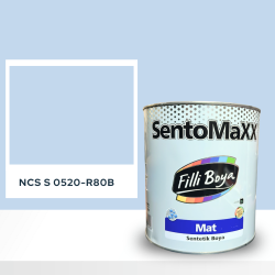 Filli Boya Sentomaxx Boya NCS S 0520-R80B