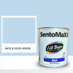 Filli Boya Sentomaxx Boya NCS S 0520-R90B