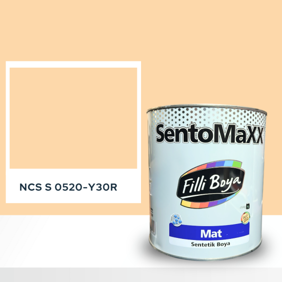 Filli Boya Sentomaxx Boya NCS S 0520-Y30R