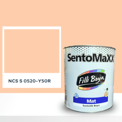 Filli Boya Sentomaxx Boya NCS S 0520-Y50R