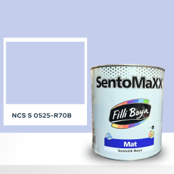 Filli Boya Sentomaxx Boya NCS S 0525-R70B