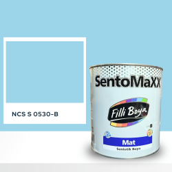 Filli Boya Sentomaxx Boya NCS S 0530-B