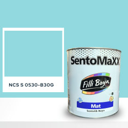 Filli Boya Sentomaxx Boya NCS S 0530-B30G