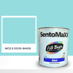 Filli Boya Sentomaxx Boya NCS S 0530-B40G