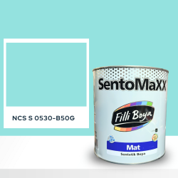 Filli Boya Sentomaxx Boya NCS S 0530-B50G