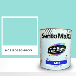 Filli Boya Sentomaxx Boya NCS S 0530-B60G