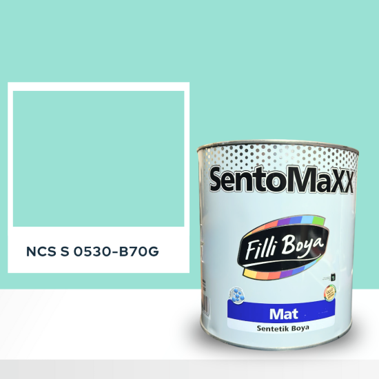 Filli Boya Sentomaxx Boya NCS S 0530-B70G