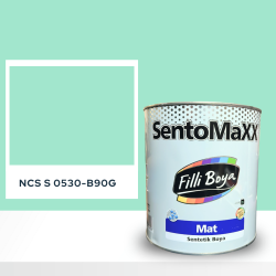 Filli Boya Sentomaxx Boya NCS S 0530-B90G
