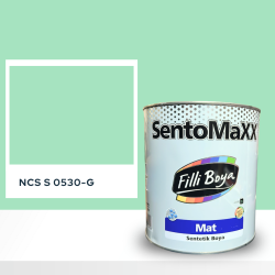 Filli Boya Sentomaxx Boya NCS S 0530-G