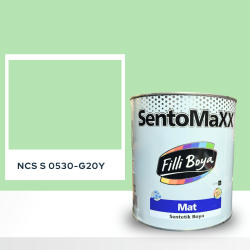 Filli Boya Sentomaxx Boya NCS S 0530-G20Y