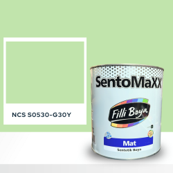 Filli Boya Sentomaxx Boya NCS S 0530-G30Y