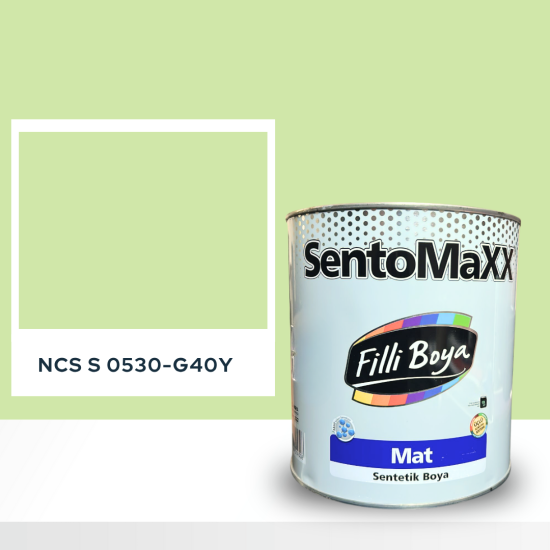 Filli Boya Sentomaxx Boya NCS S 0530-G40Y