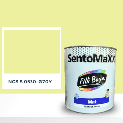 Filli Boya Sentomaxx Boya NCS S 0530-G70Y