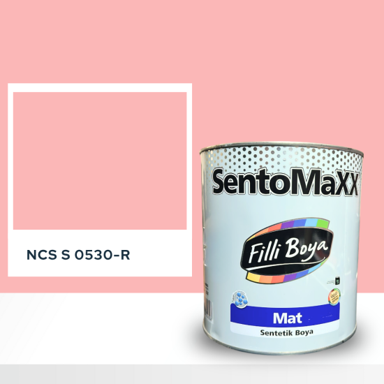 Filli Boya Sentomaxx Boya NCS S 0530-R