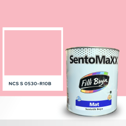 Filli Boya Sentomaxx Boya NCS S 0530-R10B