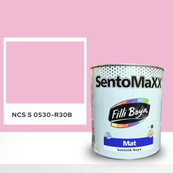 Filli Boya Sentomaxx Boya NCS S 0530-R30B