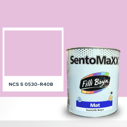 Filli Boya Sentomaxx Boya NCS S 0530-R40B