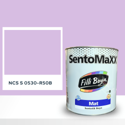 Filli Boya Sentomaxx Boya NCS S 0530-R50B