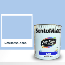 Filli Boya Sentomaxx Boya NCS S 0530-R80B