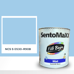 Filli Boya Sentomaxx Boya NCS S 0530-R90B