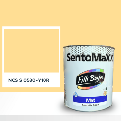 Filli Boya Sentomaxx Boya NCS S 0530-Y10R