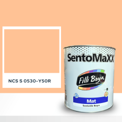Filli Boya Sentomaxx Boya NCS S 0530-Y50R