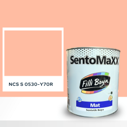 Filli Boya Sentomaxx Boya NCS S 0530-Y70R