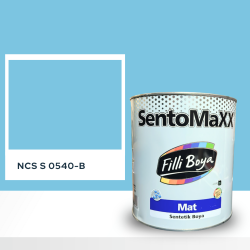 Filli Boya Sentomaxx Boya NCS S 0540-B