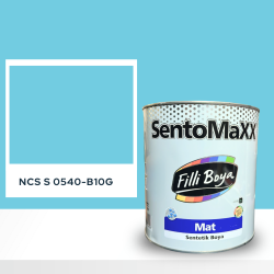 Filli Boya Sentomaxx Boya NCS S 0540-B10G