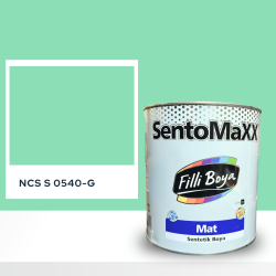 Filli Boya Sentomaxx Boya NCS S 0540-G