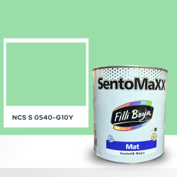 Filli Boya Sentomaxx Boya NCS S 0540-G10Y