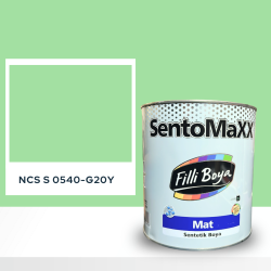 Filli Boya Sentomaxx Boya NCS S 0540-G20Y
