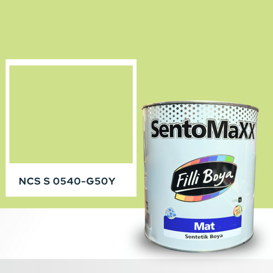 Filli Boya Sentomaxx Boya NCS S 0540-G50Y
