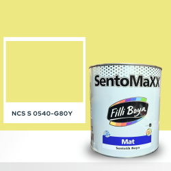 Filli Boya Sentomaxx Boya NCS S 0540-G80Y