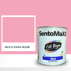 Filli Boya Sentomaxx Boya NCS S 0540-R20B