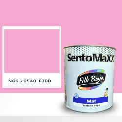 Filli Boya Sentomaxx Boya NCS S 0540-R30B