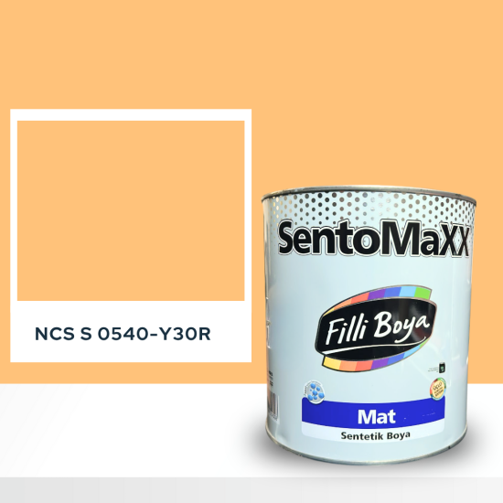 Filli Boya Sentomaxx Boya NCS S 0540-Y30R