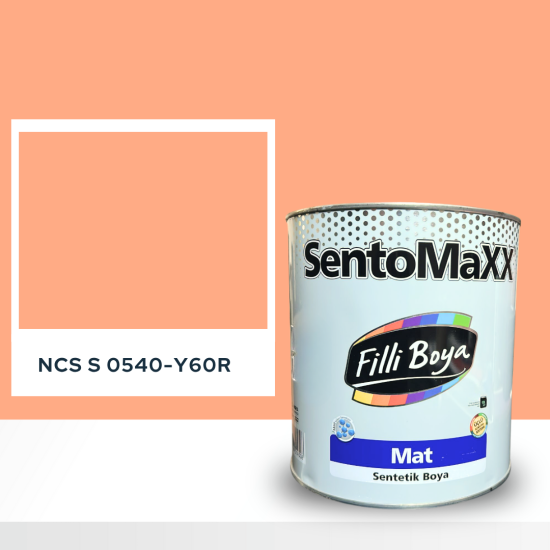 Filli Boya Sentomaxx Boya NCS S 0540-Y60R