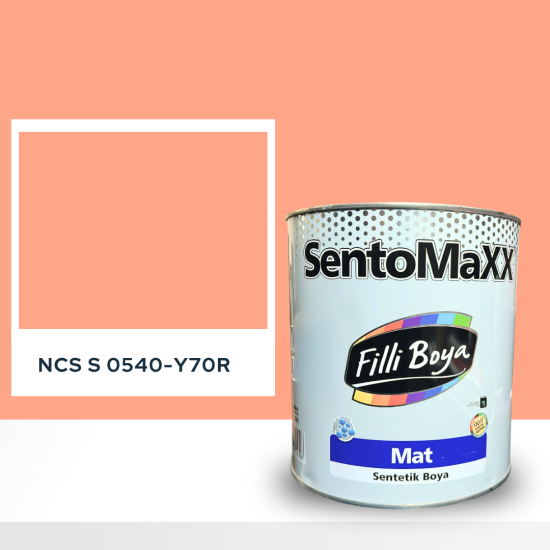 Filli Boya Sentomaxx Boya NCS S 0540-Y70R