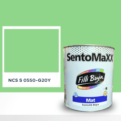 Filli Boya Sentomaxx Boya NCS S 0550-G20Y