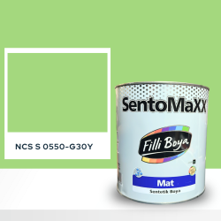 Filli Boya Sentomaxx Boya NCS S 0550-G30Y