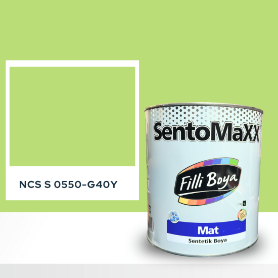 Filli Boya Sentomaxx Boya NCS S 0550-G40Y