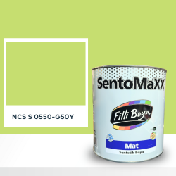Filli Boya Sentomaxx Boya NCS S 0550-G50Y