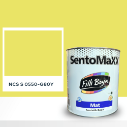 Filli Boya Sentomaxx Boya NCS S 0550-G80Y