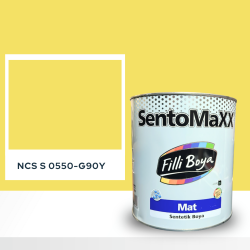 Filli Boya Sentomaxx Boya NCS S 0550-G90Y