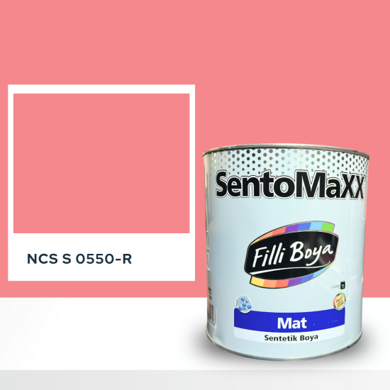 Filli Boya Sentomaxx Boya NCS S 0550-R